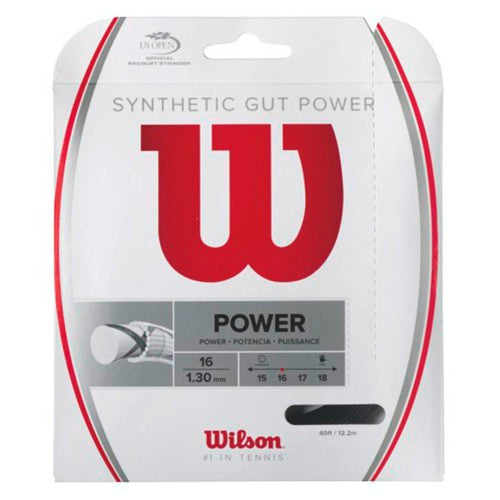 Ensemble Wilson Synthetic Gut Power 12m